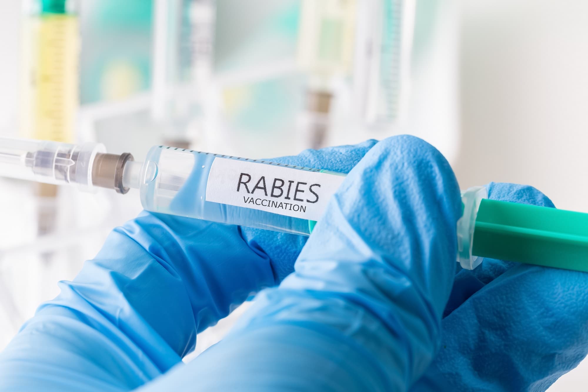 About the Rabies (Pre-Exposure) Vaccine